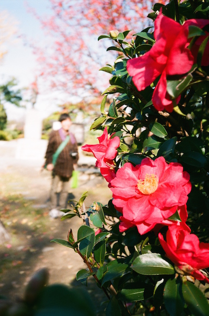 富士フイルム ISO200