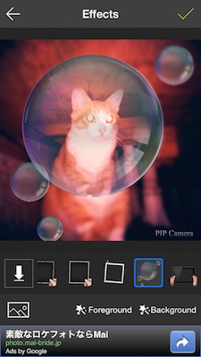 PIP Camera