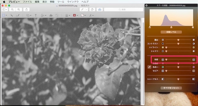 Mac　プレビュー　モノクロ