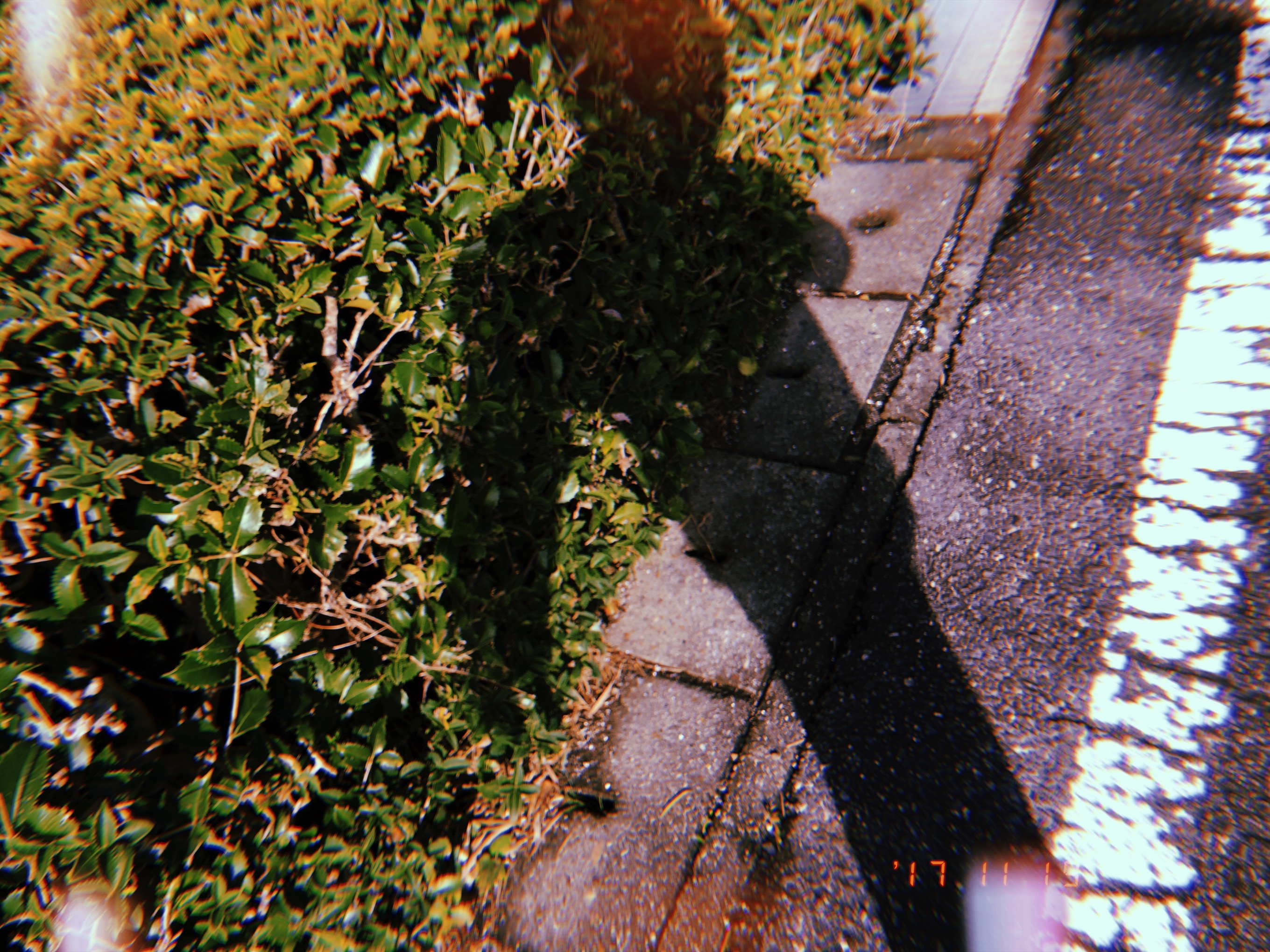 Huji cam　作例写真