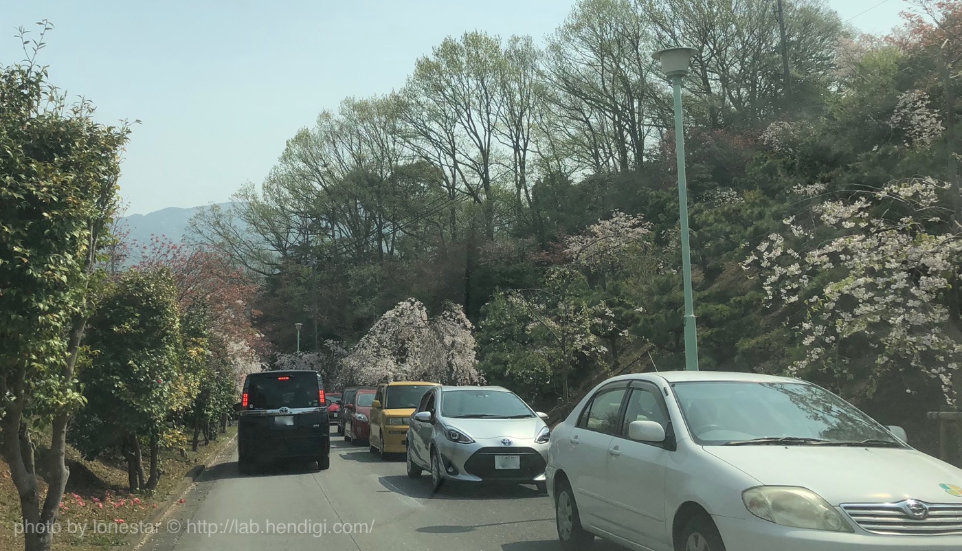 幸田町　しだれ桜まつり　渋滞