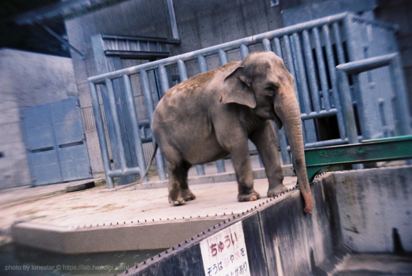 学研フレックス　作例写真