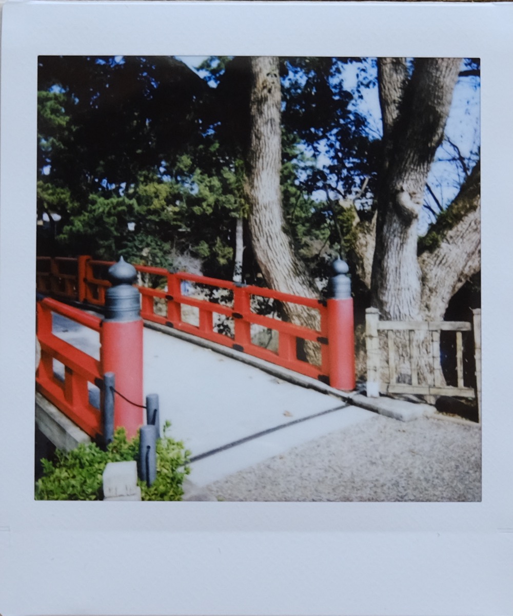 instax SQUARE SQ1 作例写真