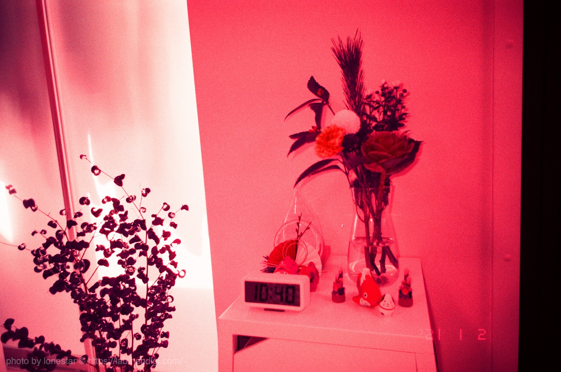 LomoChrome Purple Film