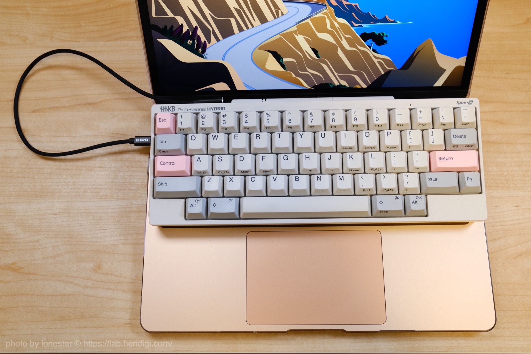 HHKB　L型　ケーブル