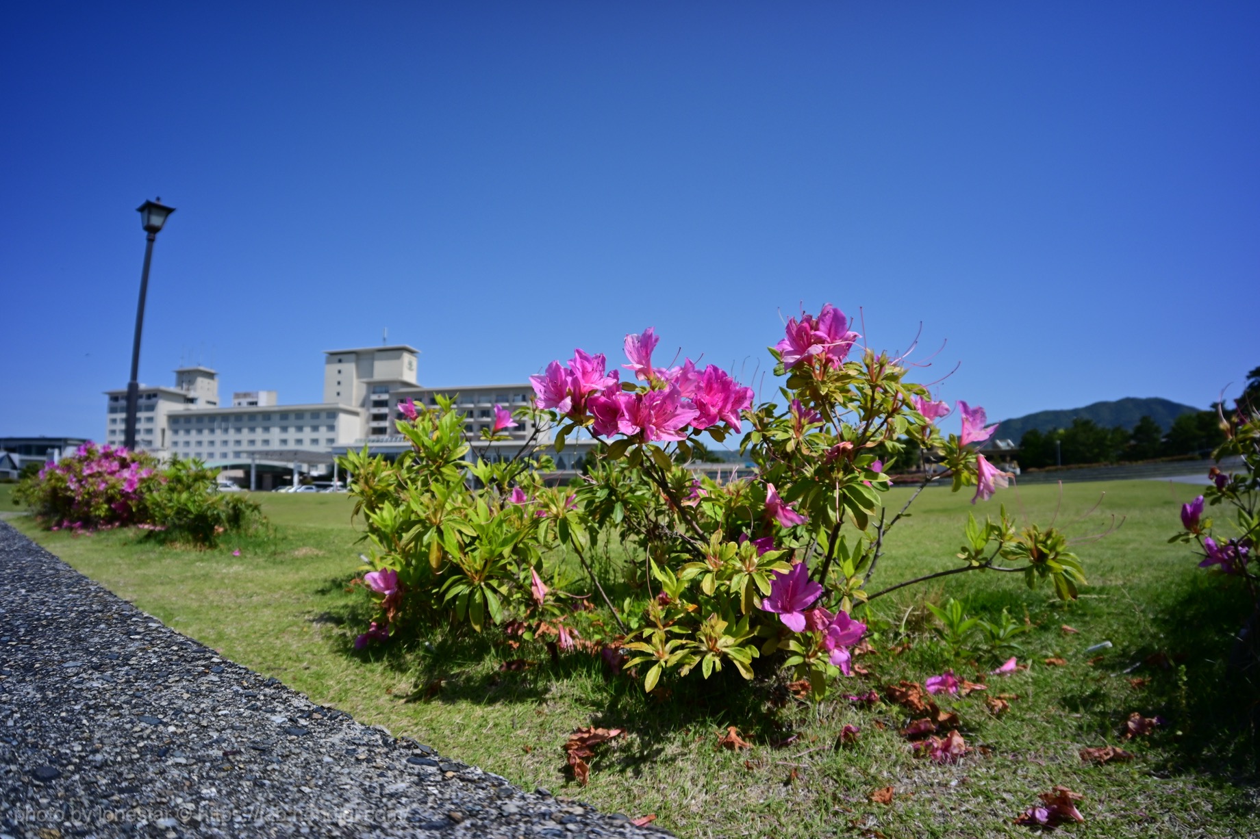 Pergear 10mm F8　作例写真