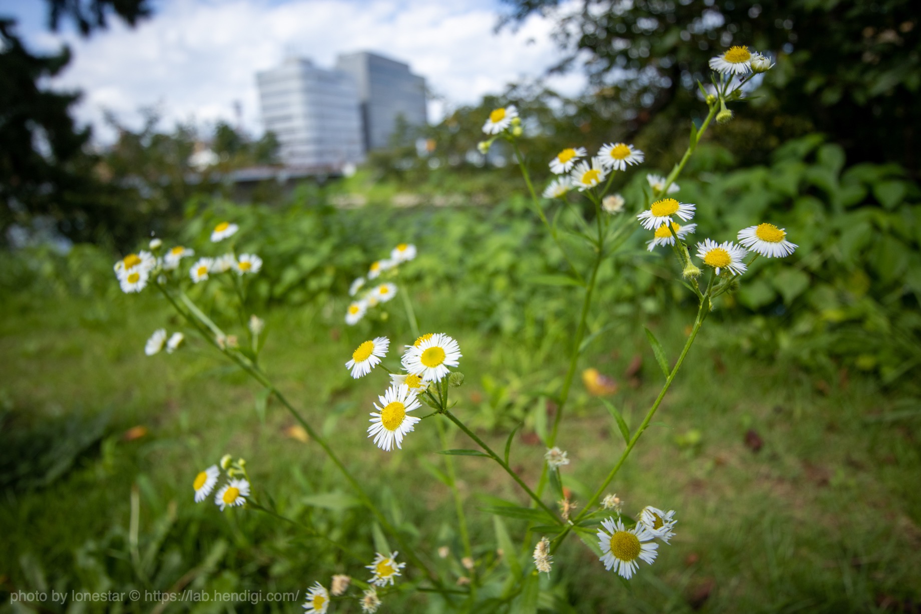 EOS Kiss M2「EF-M11-22mm F4-5.6 IS STM」作例写真