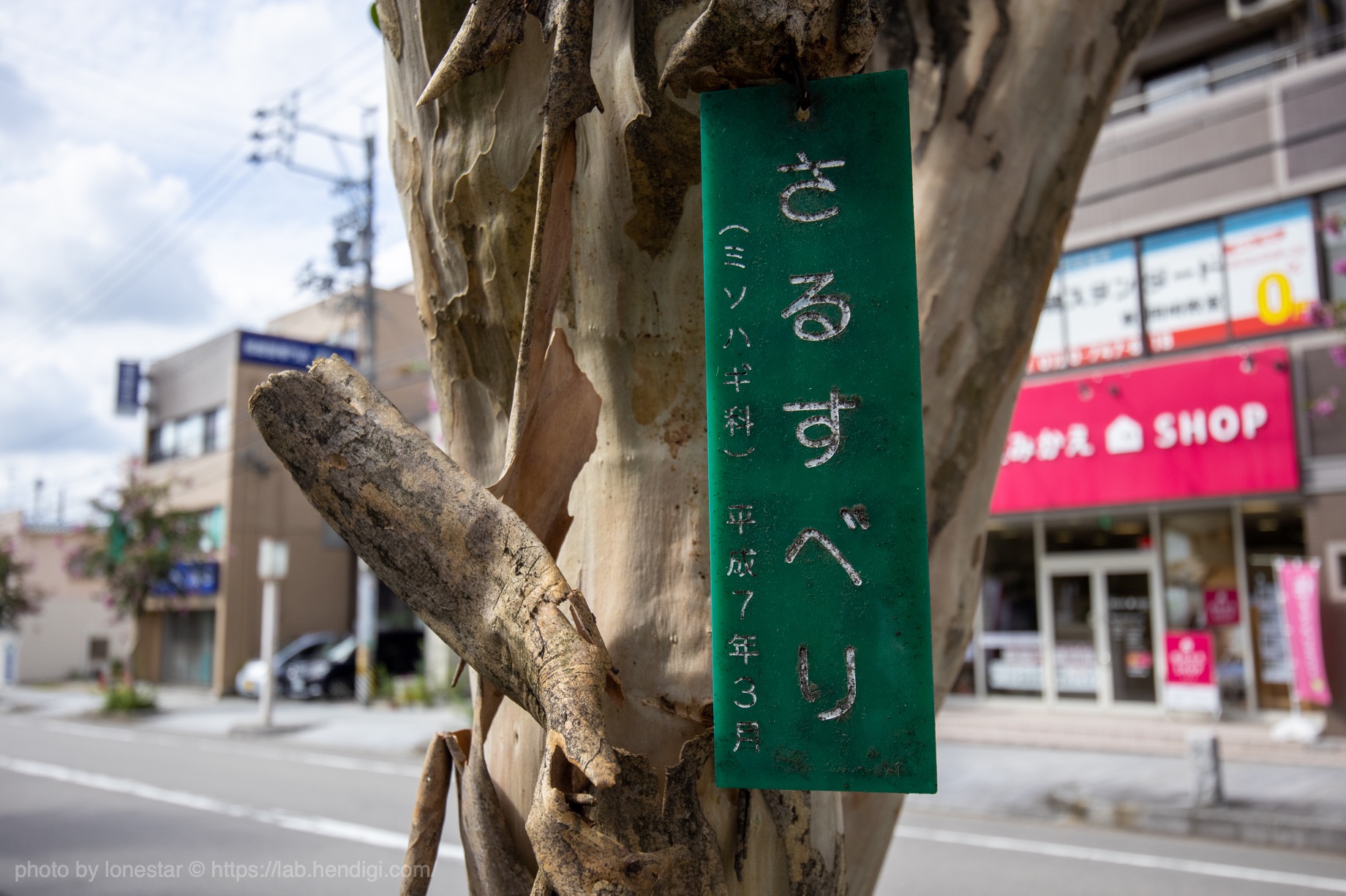 EOS Kiss M2「EF-M11-22mm F4-5.6 IS STM」作例写真