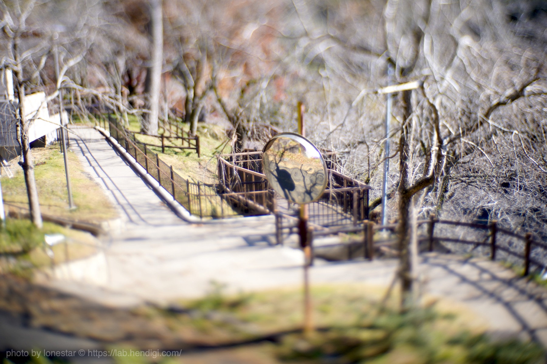 GIZMON Miniature Tilt Lens　作例写真