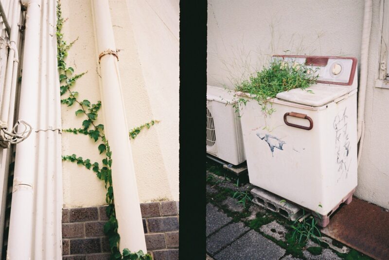 PENTAX 17 / Kodak ColorPlus 200【作例写真】