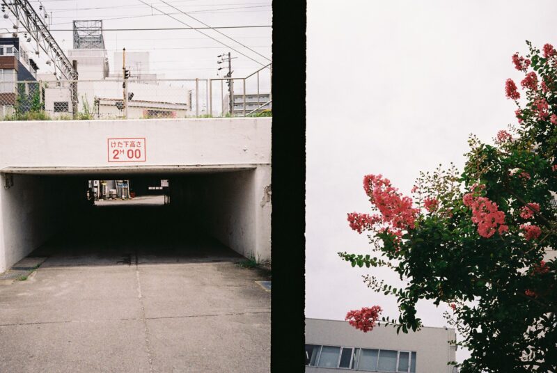 PENTAX 17 / Kodak ColorPlus 200【作例写真】