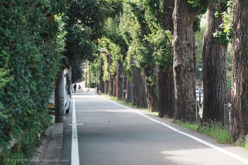 銘匠光学 TTArtisan AF 75mm f2：作例写真