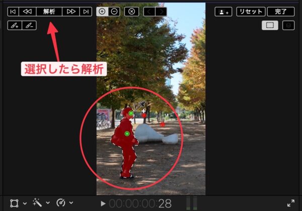 Final Cut Pro　マグネティックマスクエディタ