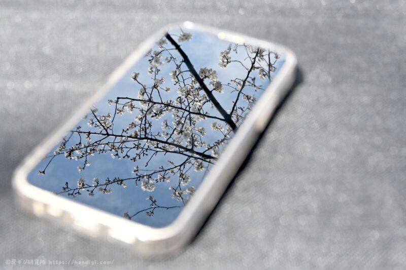 Nikon Z30 作例写真