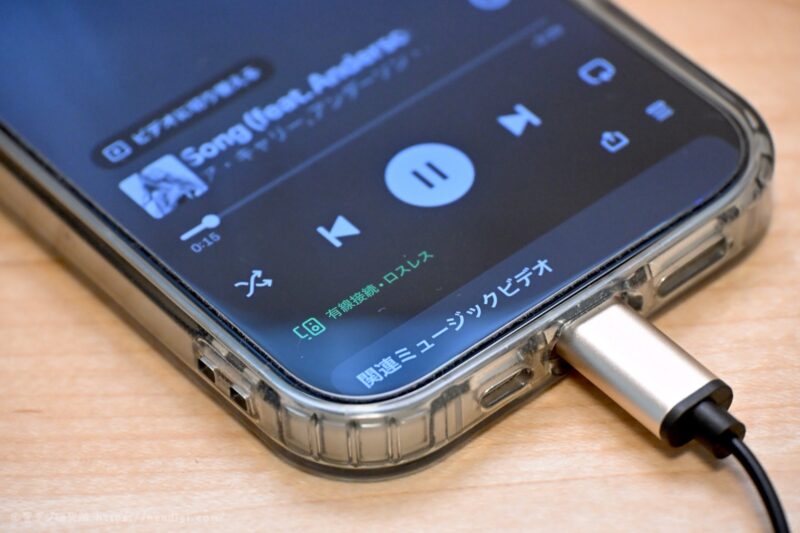 USB-C イヤホン　ロスレス対応　DAISO