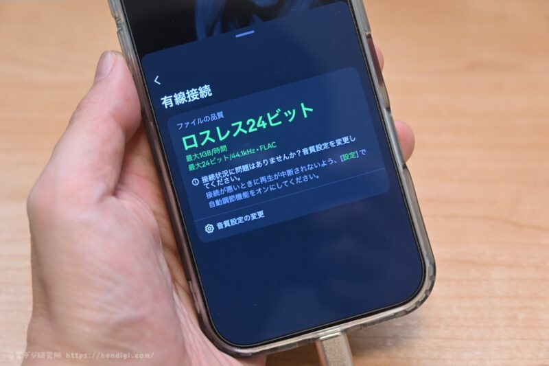 USB-C イヤホン　ロスレス対応　DAISO