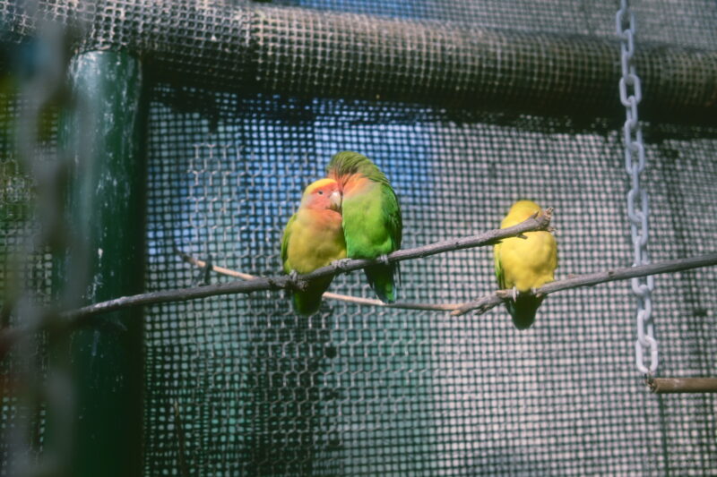 岡崎市　東公園　動物園