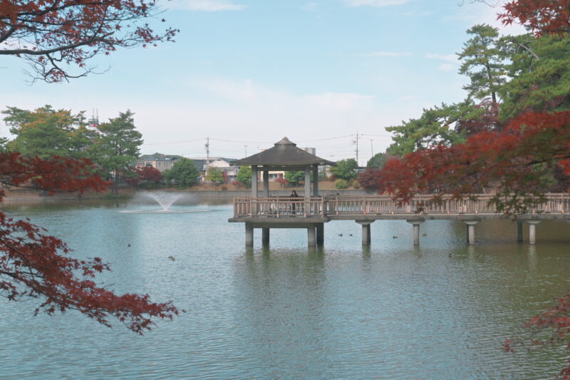 岡崎市　東公園　紅葉