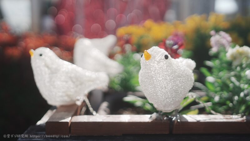 SONY FX2 FL2 作例写真