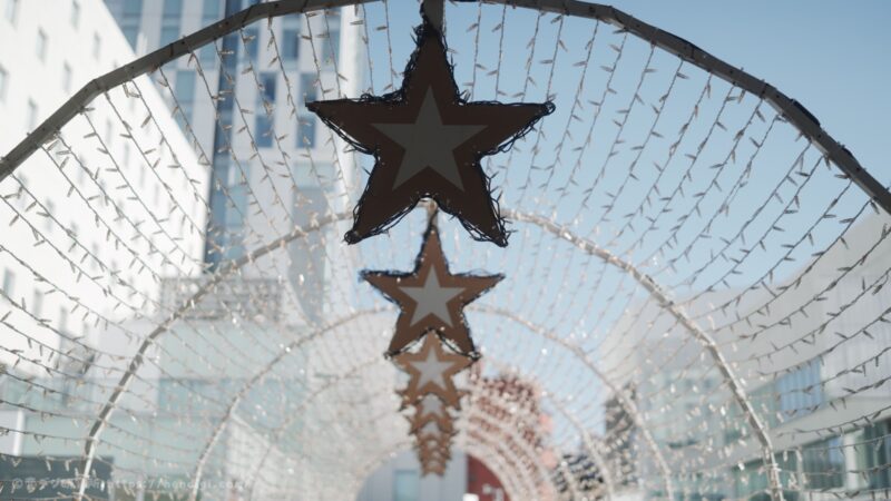 SONY FX2 FL2 作例写真