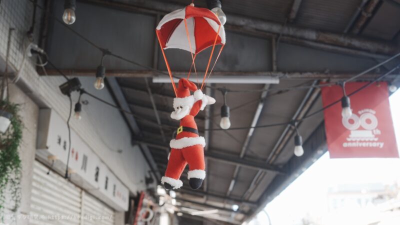 SONY FX2 FL2 作例写真