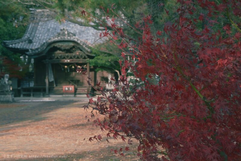 RED イメージングレシピ 作例写真