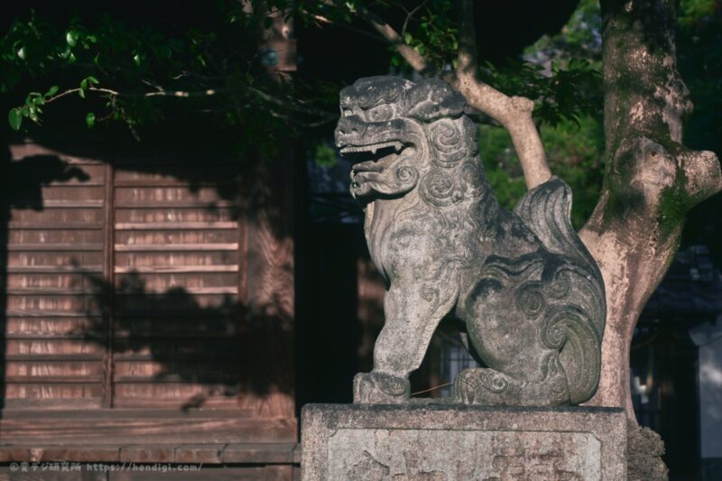 RED イメージングレシピ 作例写真