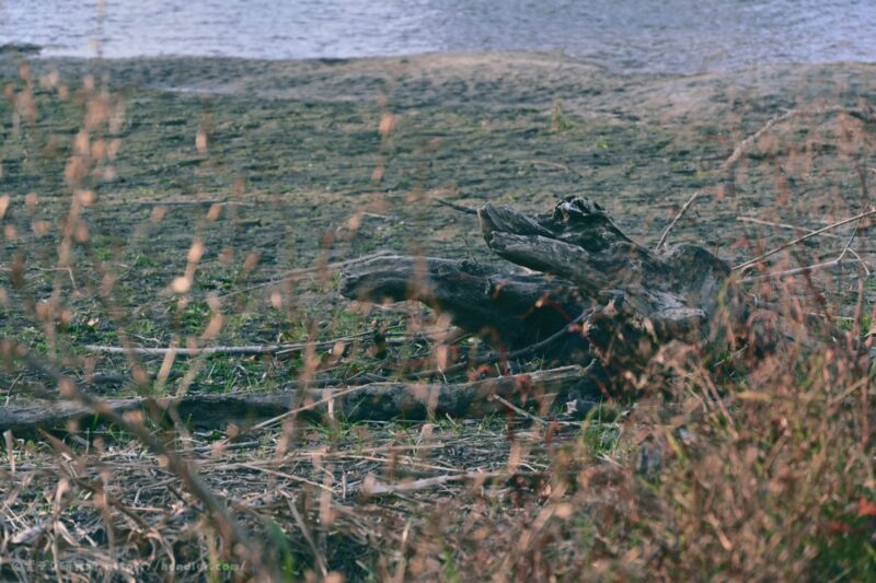 RED イメージングレシピ 作例写真