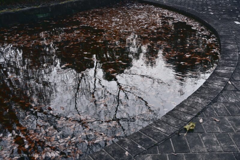 RED イメージングレシピ 作例写真