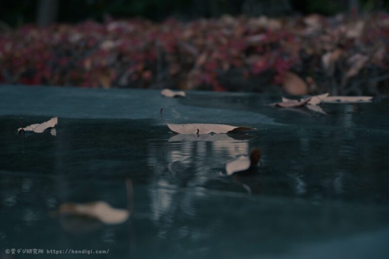 RED イメージングレシピ 作例写真