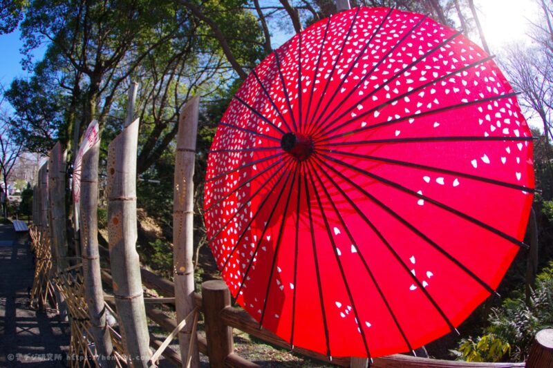 PENTAX-DA FISH-EYE 10-17mmF3.5-4.5 ED 作例写真