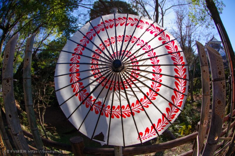 PENTAX-DA FISH-EYE 10-17mmF3.5-4.5 ED 作例写真