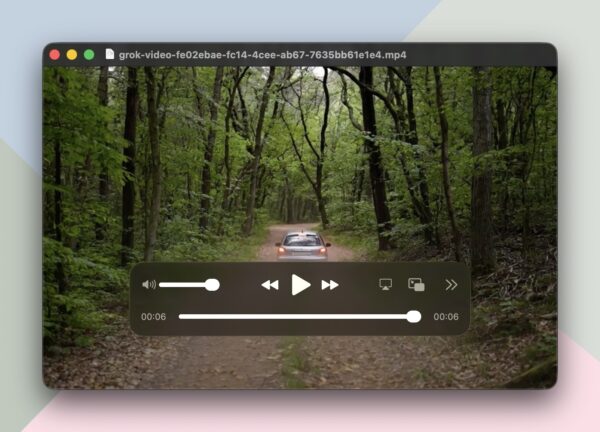 Grok 6秒動画