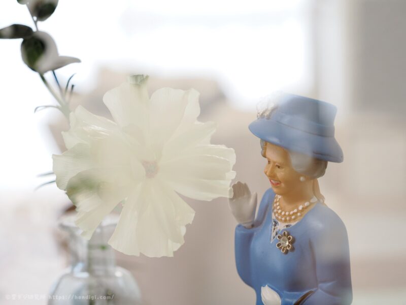 OM-3　多重露出撮影