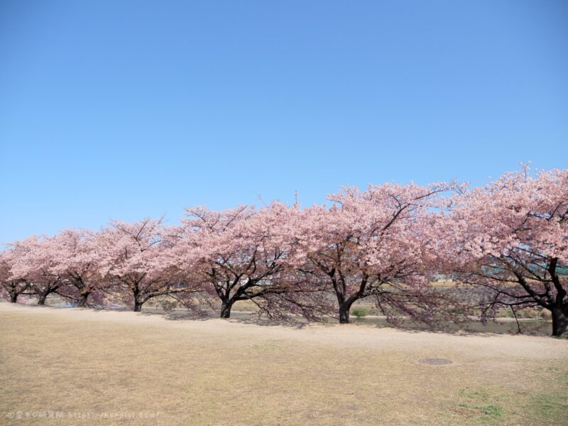 OM SYSTEM OM-3　作例写真