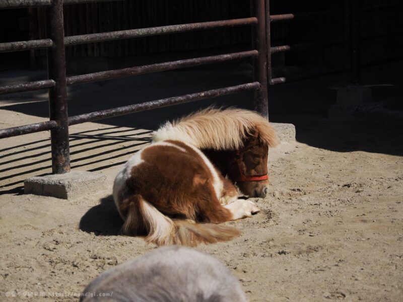 OM SYSTEM OM-3　作例写真