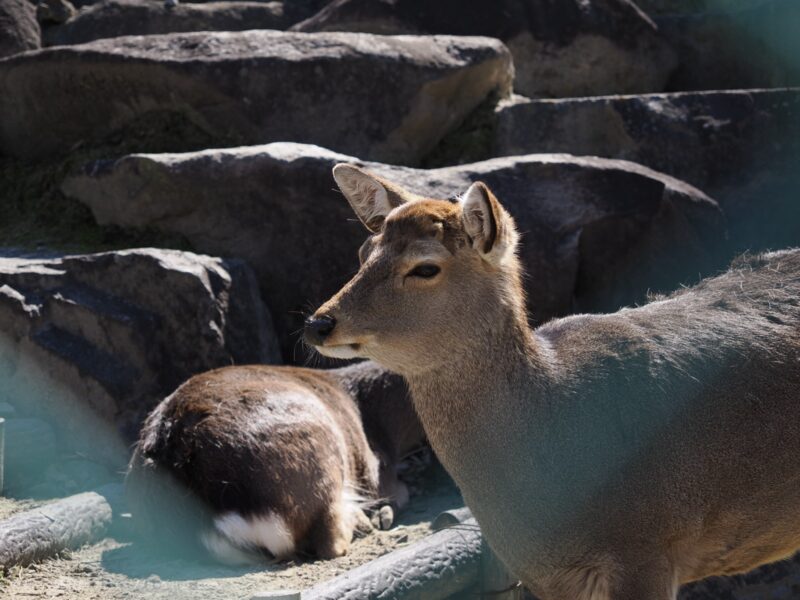 OM SYSTEM OM-3　作例写真