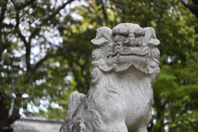 NIKKOR Z DX MC 35mm F1.7 作例写真