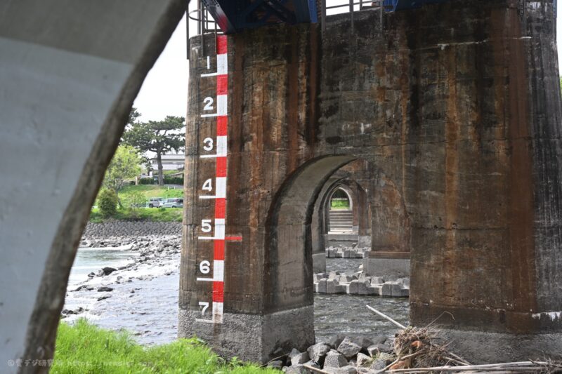 NIKKOR Z DX MC 35mm F1.7 作例写真