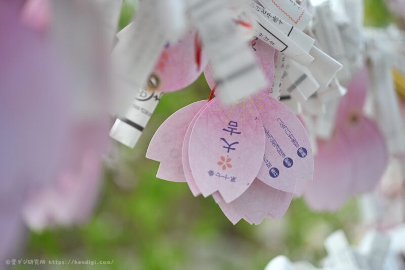 NIKKOR Z DX MC 35mm F1.7 前ボケ