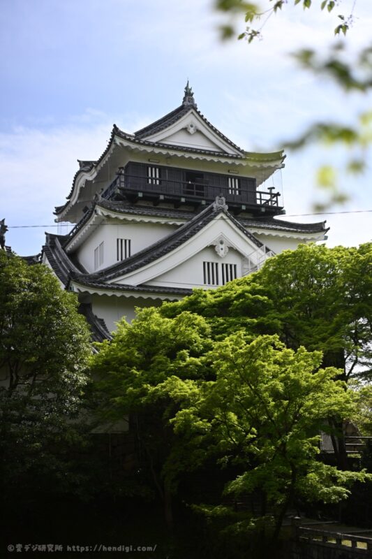 NIKKOR Z DX MC 35mm F1.7 前ボケ