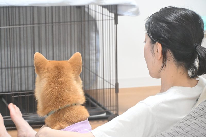 リラックスタイムのツマーとソナちゃん