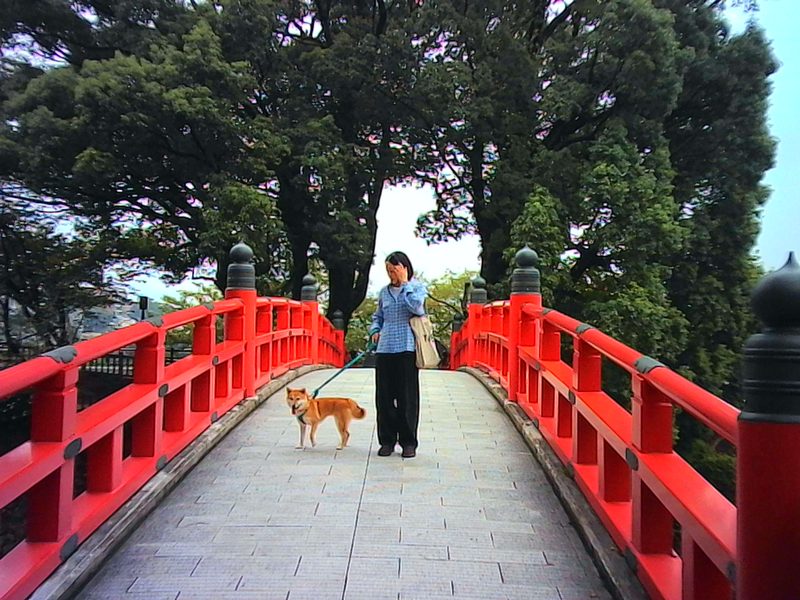 InstantSnap.novo:作例写真