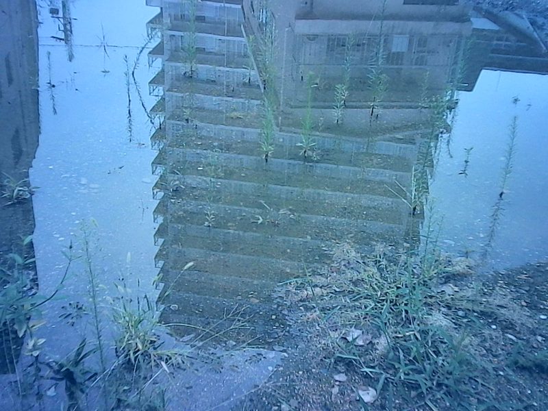 InstantSnap.novo:作例写真