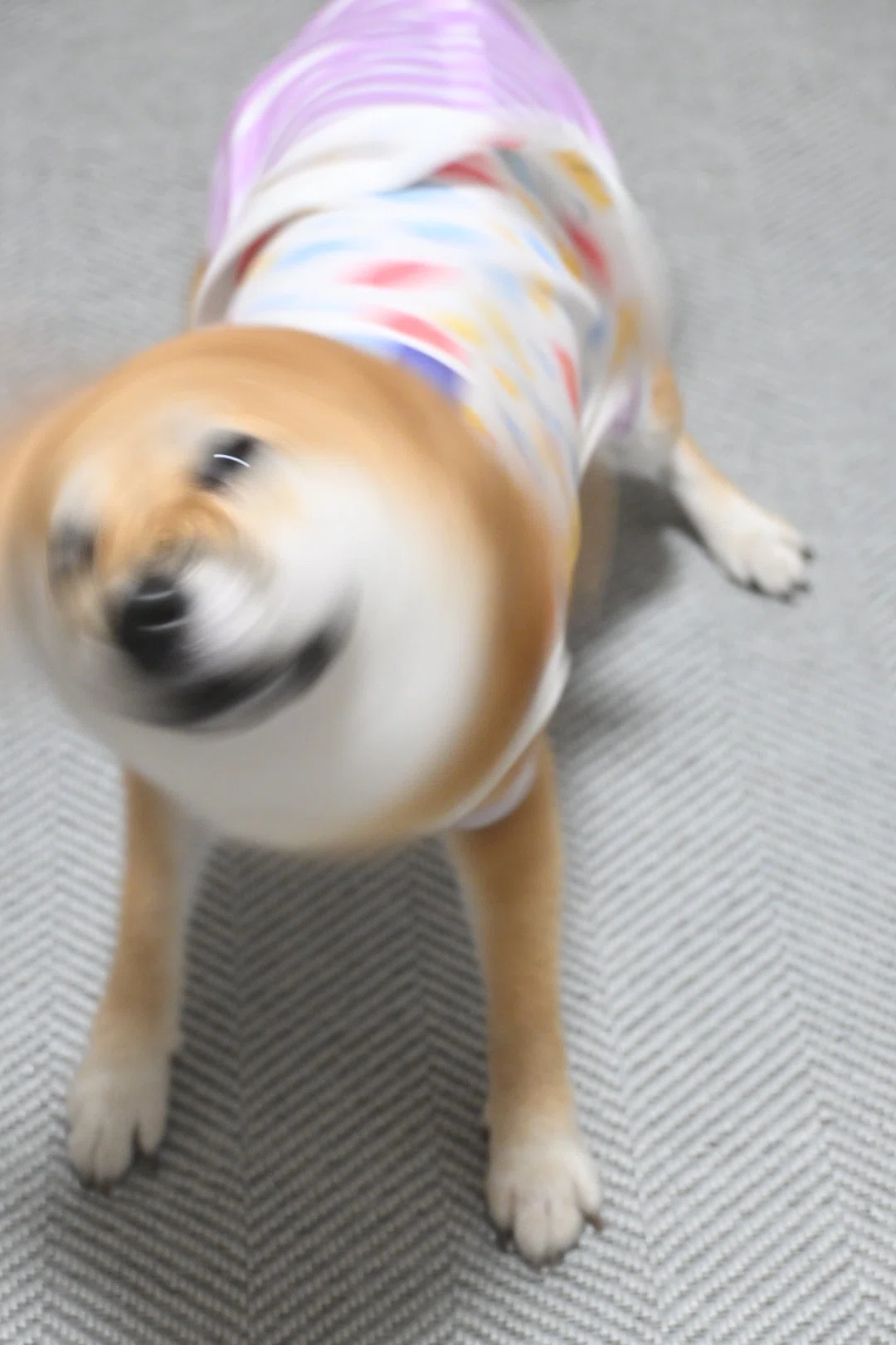 柴ドリル